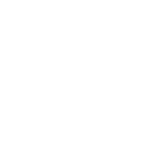 L_Vray