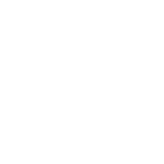 L_Wacom