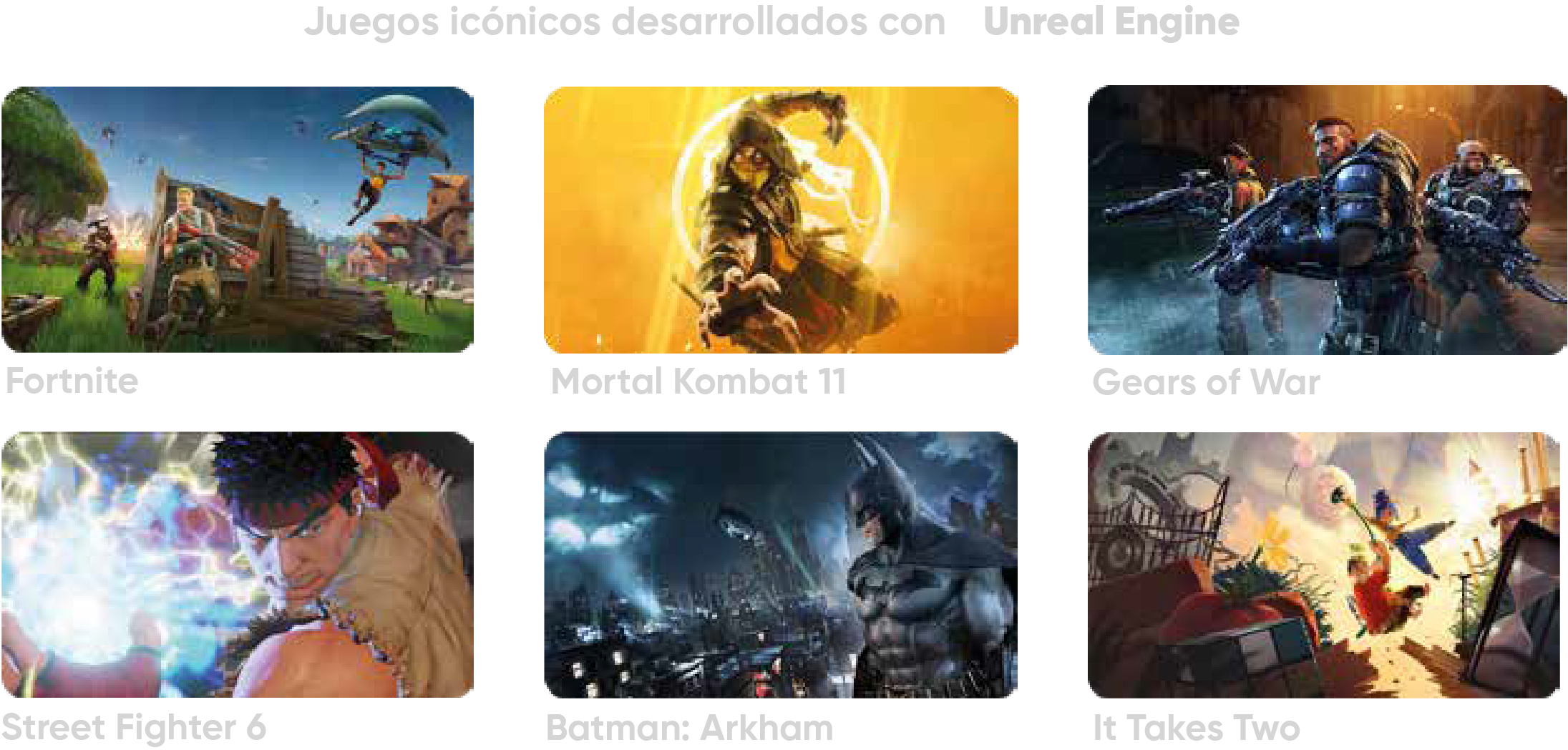 Recurso 24
